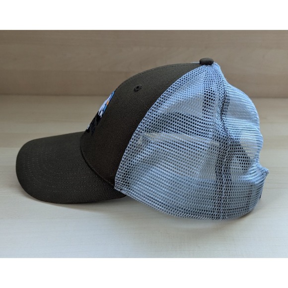 Patagonia Fiz Roy Scope LoPro Mountain Trucker Hat Forge Grey / Green Gorpcore - Picture 2 of 9